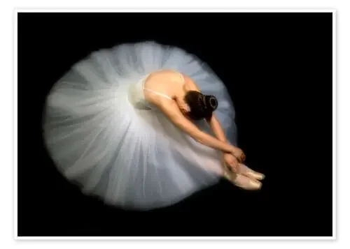 Elegance de Pauline Pentony BA 1x