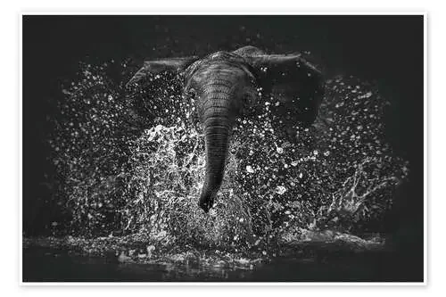 Elephant Power de Manuela Kulpa