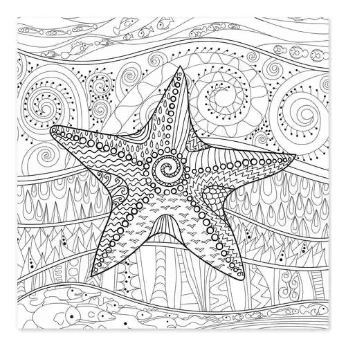 Estrella de mar Editors Choice