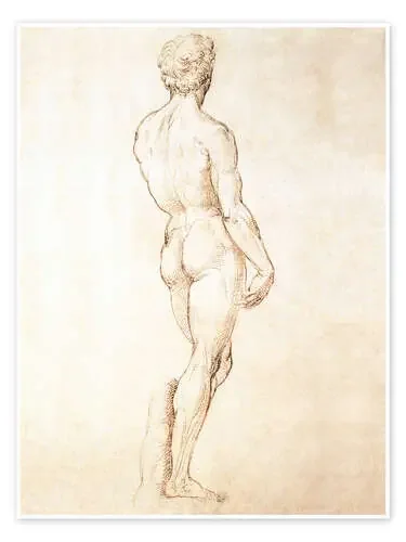 Estudio de David de Michelangelo Master Collection