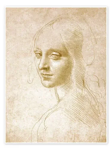 Estudio de la cara de un ángel de la Virgen de las Rocas de Leonardo da Vinci Master Collection