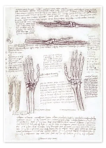 Estudio de la mano de Leonardo da Vinci Master Collection