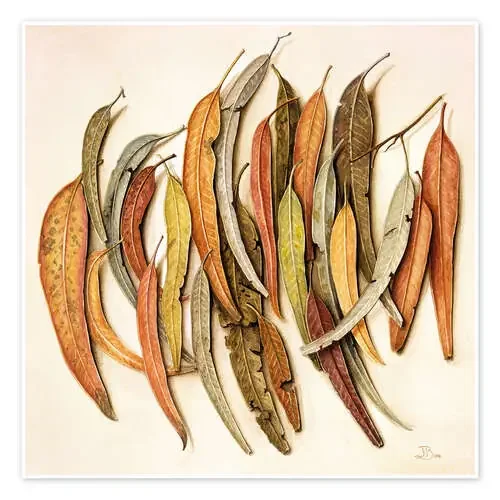 Eucalyptus Leaves, 2004 de Jenny Barron Bridgeman Images