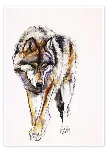 European Wolf de Mark Adlington Bridgeman Images