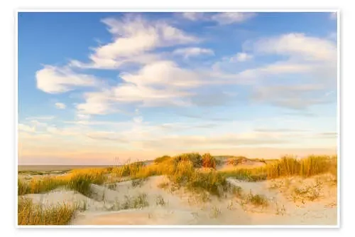 Evening light over the North Sea dunes de Moqui, Daniela Beyer