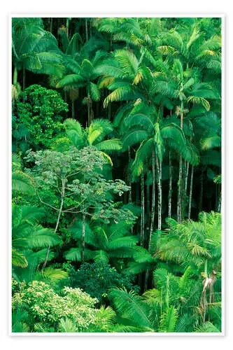 Exuberante selva de Ron Dahlquist Design Pics