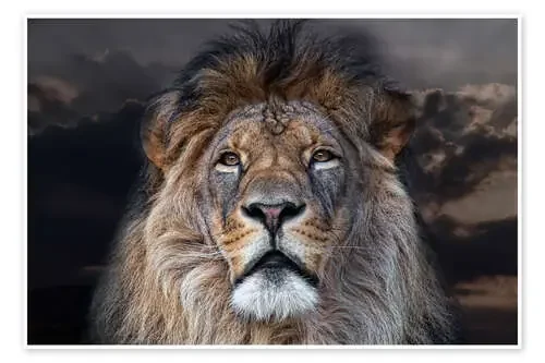 Face to Face with a King de Joachim G. Pinkawa