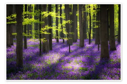 Fairy Forest de Jens Sieckmann