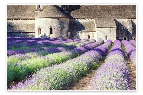 Famous Senanque abbey with its lavender field, Provence, France de Matteo Colombo