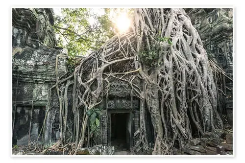Famous Tomb Raider temple, Angkor, Cambodia de Matteo Colombo