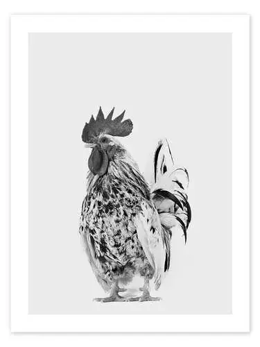 Fancy Rooster II de Animal Kids Collection Editors Choice