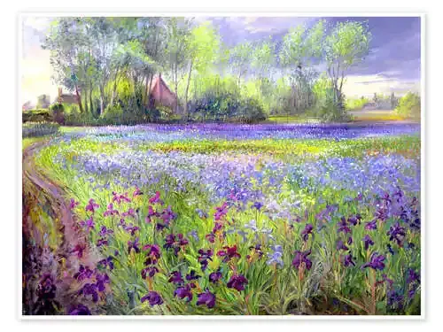 Field of wildflowers III de Timothy Easton Bridgeman Images