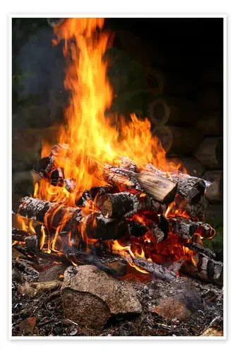 Fire de Bjorn Svensson Science Photo Library