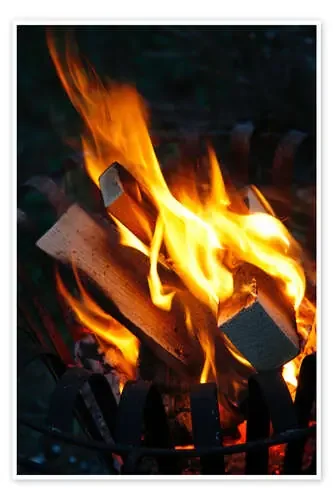 Firebasket Editors Choice