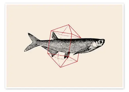 Fish In Geometrics II de Florent Bodart
