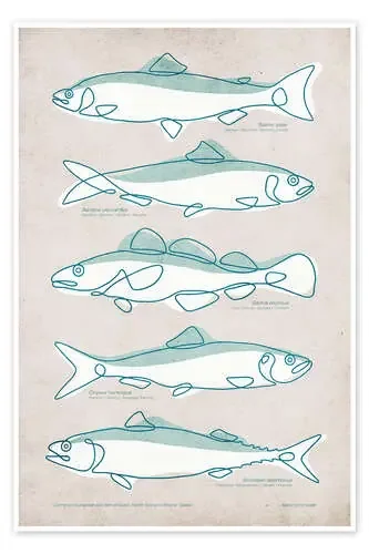 Five fish with names de Kuba Gornowicz