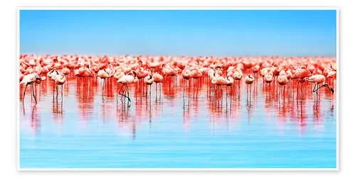 Flamingo in the lake Nakuru Editors Choice