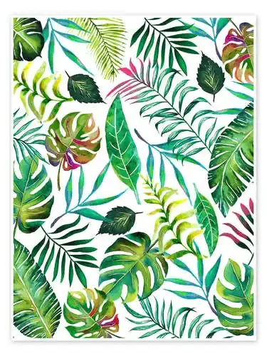 Flora tropical de 83 Oranges