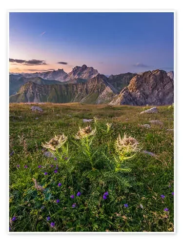 Flower Meadow in the Alps de Denis Feiner