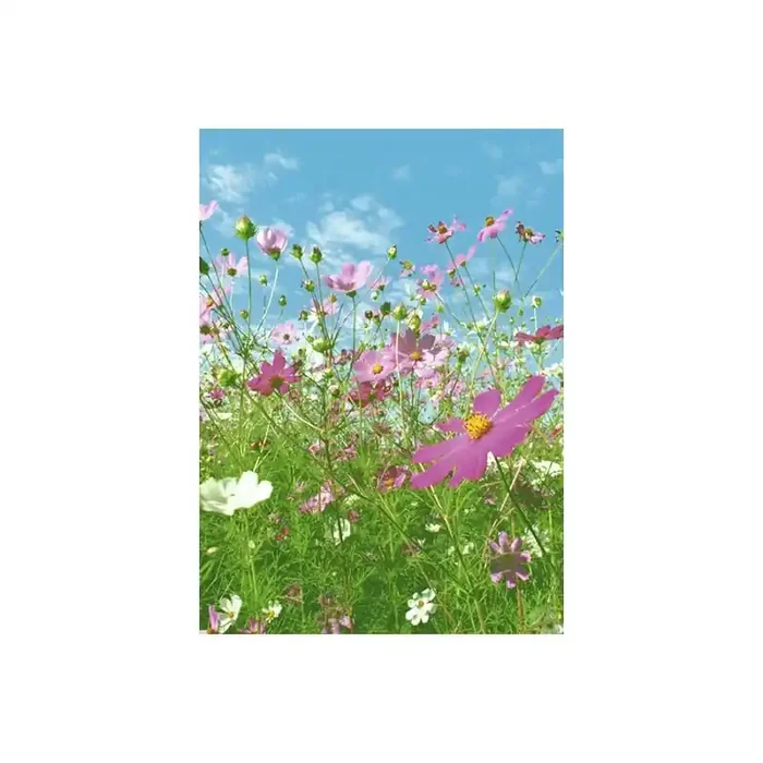 FLOWER MEADOW