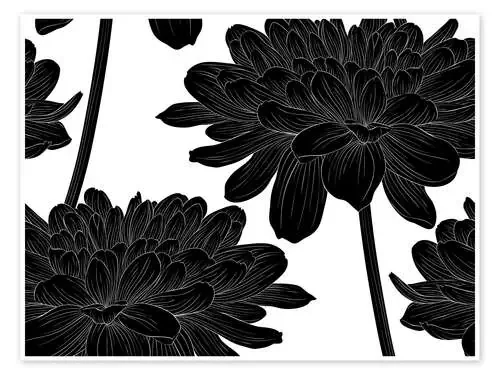 Flowers black on white Editors Choice
