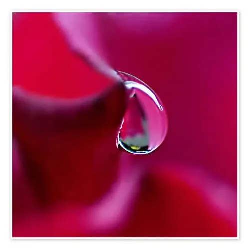 flowing drop de Dirk Driesen
