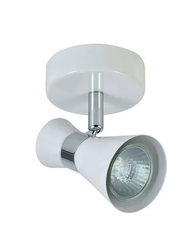 Foco Orientable