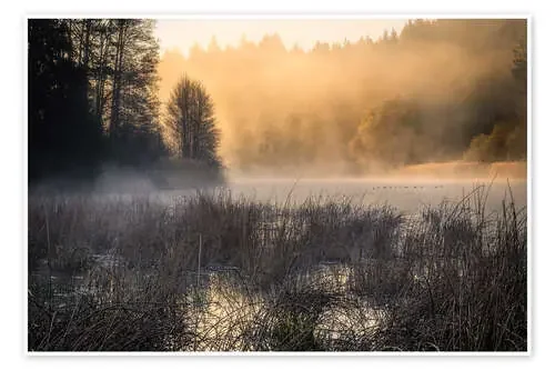 Foggy morning on the lake de Christian Möhrle