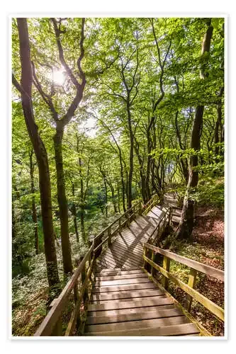 Footpath on Moen Island de Dieterich Fotografie