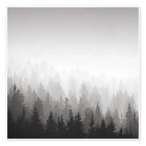 Forest in fog de Philipp Dase