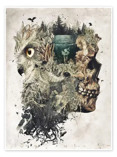 Forest Lake Dreamer de Barrett Biggers