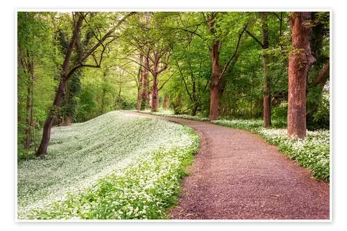Forest path in spring de Dennis Fischer