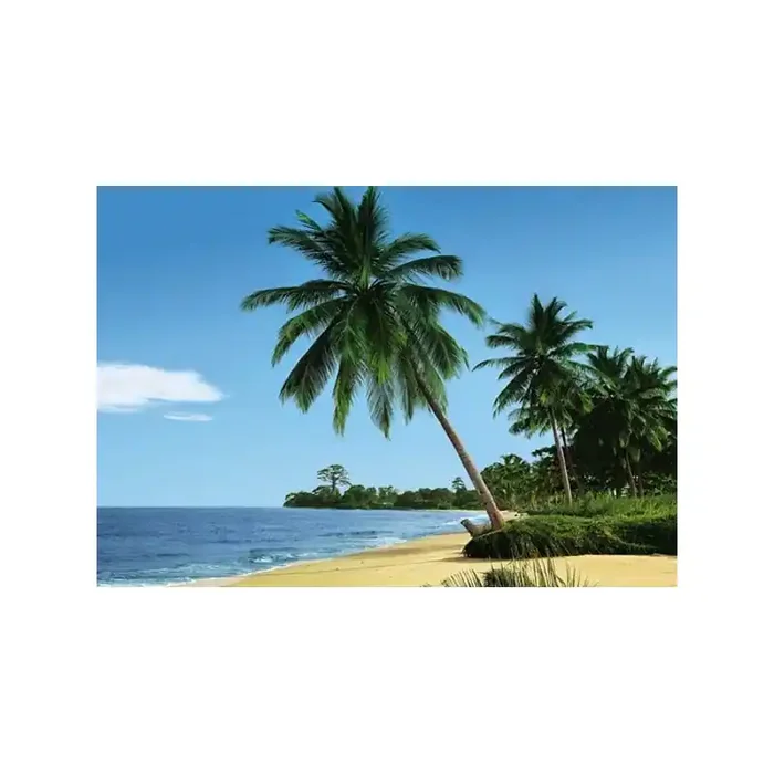 Fotomural AFRICAN BEACH