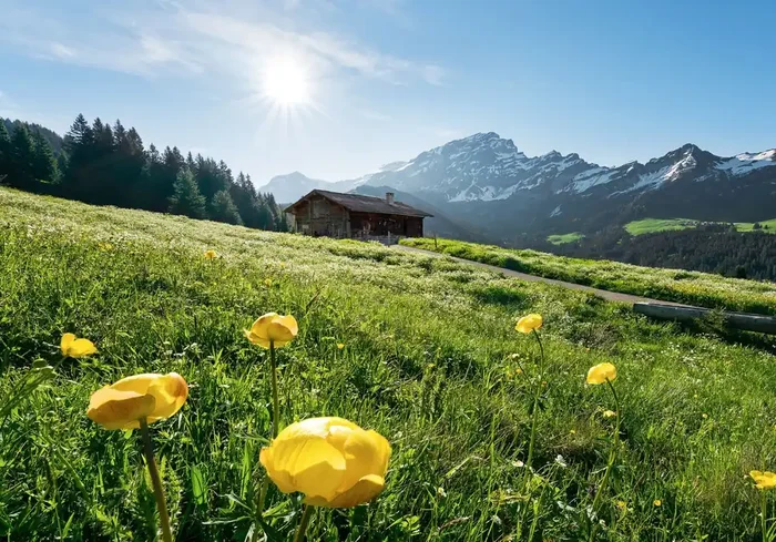 fotomural Alpes verde y azul de Sanders & Sanders – 612594