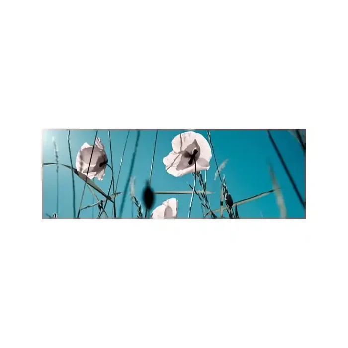 Fotomural Amapolas Blancas FFL002, 200cm. x 67cm., Vinilo Autoadhesivo Mate, Todo Color, Original, 0x30.85x0x35.49 cm.