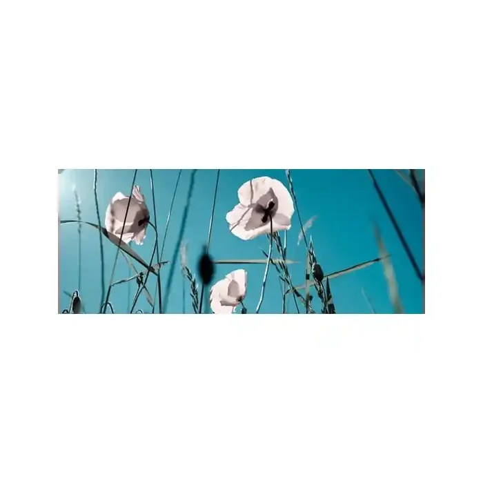 Fotomural Amapolas Blancas FFL002, 200cm. x 80cm., Vinilo Autoadhesivo Mate, Todo Color, Original, 0x27.3x0x26.03 cm.