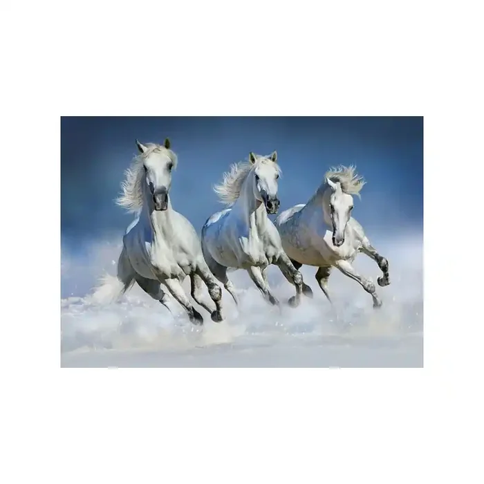 Fotomural ARABIAN HORSES