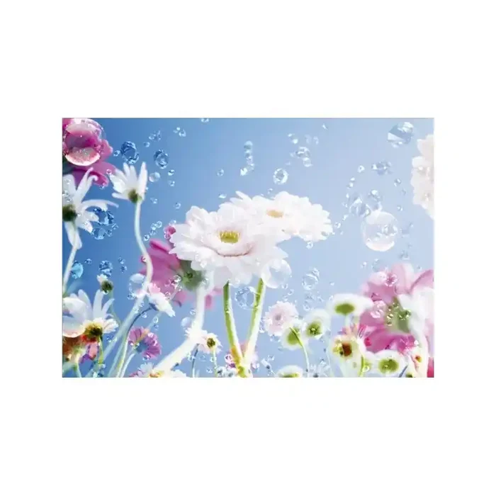 Fotomural ASTERS BIG FT-0084