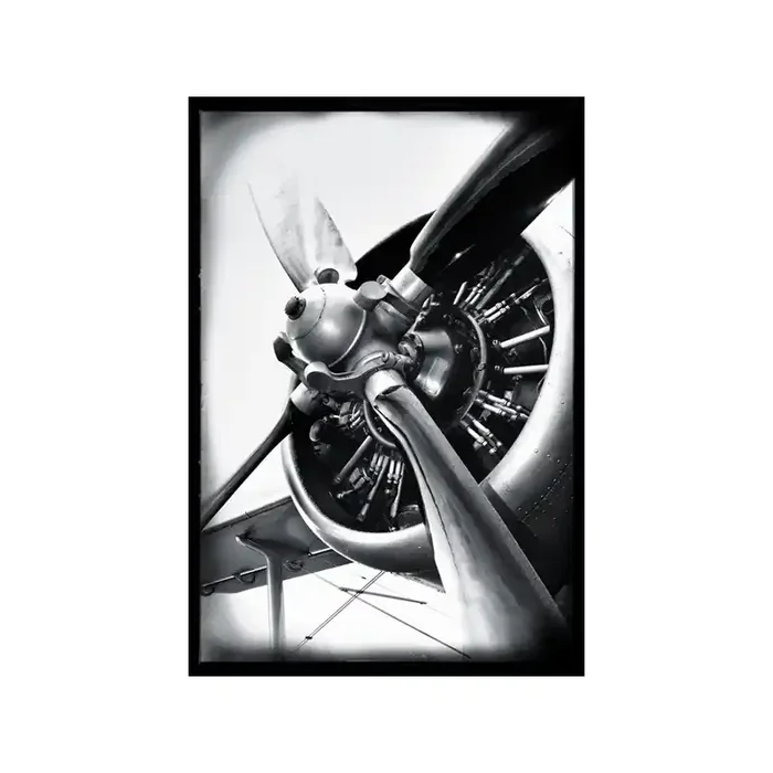 Fotomural AVIATOR TP001