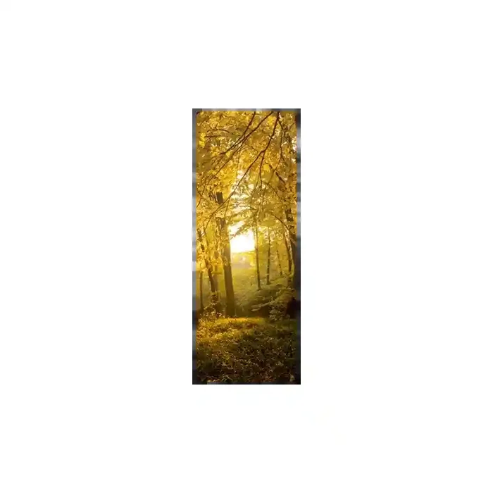 Fotomural Bosque en Otoo FNA010, 100cm. x 270cm., Vinilo Autoadhesivo Mate, Todo Color, Original, 47.68x0x25.28×0 cm.