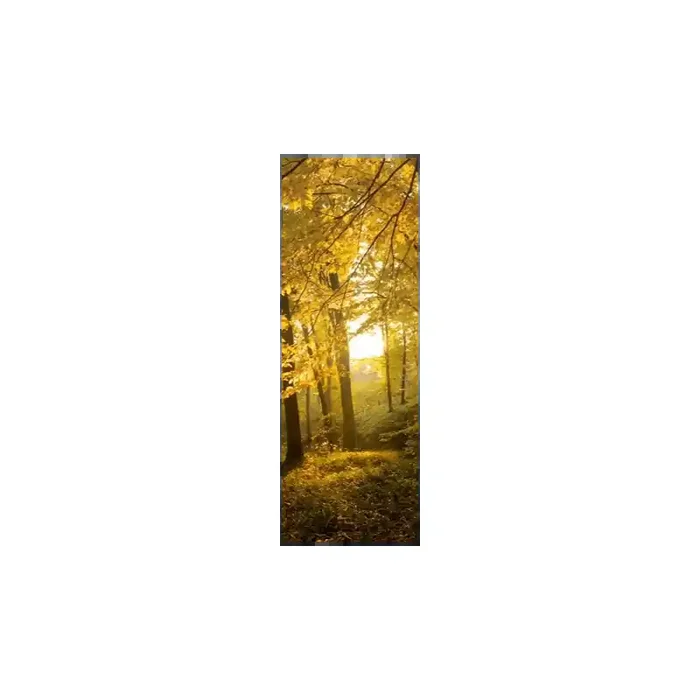 Fotomural Bosque en Otoo FNA010, 100cm. x 280cm., Vinilo Autoadhesivo Mate, Todo Color, Original, 43.94x0x29.98×0 cm.