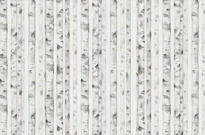 fotomural bosque gris de Sanders & Sanders – 640908