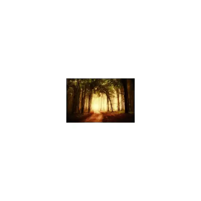 Fotomural Bosque Otoo FPR029, 280cm. x 182cm., Vinilo Autoadhesivo Mate, Todo Color, Original, 0x0x0x0 cm.