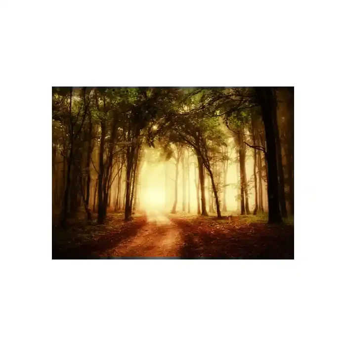 Fotomural Bosque Otoo FPR029, 400cm. x 280cm., Vinilo Autoadhesivo Mate, Todo Color, Original, 14.29x0x14.29×0 cm.