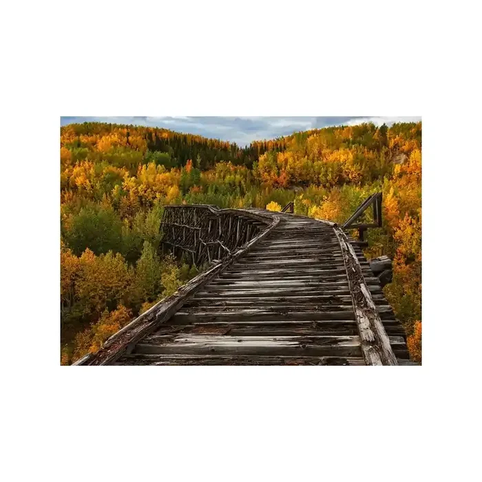 Fotomural BRIDGE IN THE FOREST