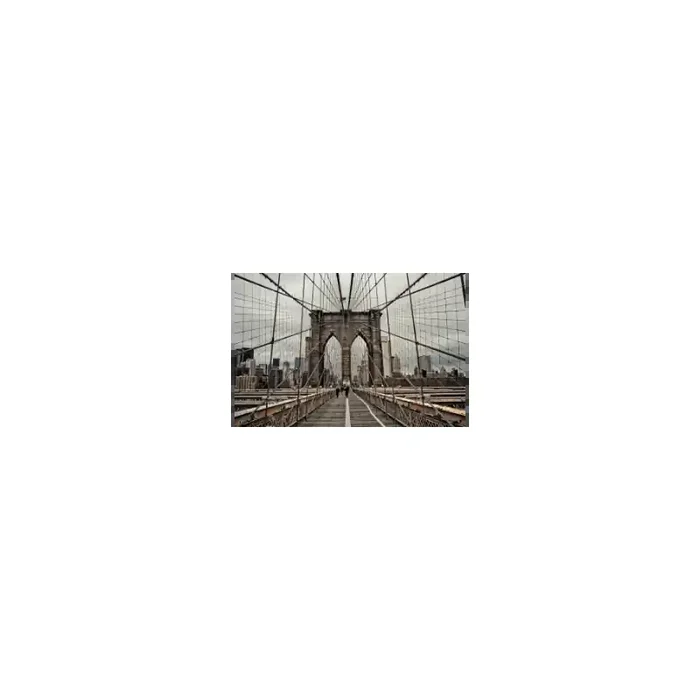 Fotomural Brooklyn Bridge FPR025, 250cm. x 180cm., Vinilo Autoadhesivo Mate, Todo Color, Original, 0x0x0x0 cm.