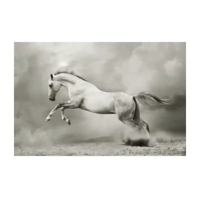 Fotomural Caballo FAN013, 195cm. x 127.4cm., Vinilo Autoadhesivo Mate, Todo Color, Original, 0x0x0x0 cm.