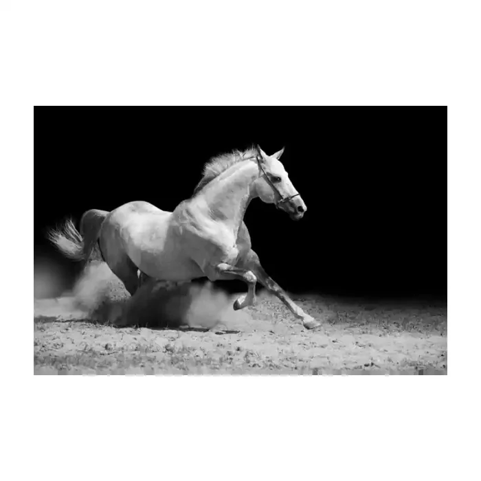 Fotomural Caballo FAN019, 120cm. x 76.6cm., Vinilo Autoadhesivo Mate, Blanco y Negro, Original, 0x0x0x0 cm.