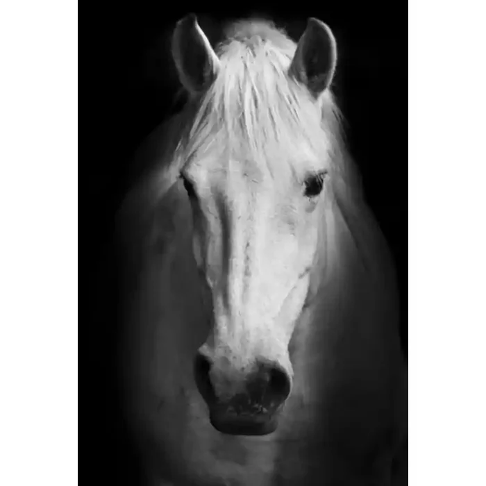 Fotomural Caballo FAN022, 110cm. x 165cm., Vinilo Autoadhesivo Mate, Blanco y Negro, Original, 0x0x0x0 cm.
