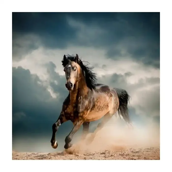 Fotomural Caballo FAN035, 170cm. x 170cm., Vinilo Autoadhesivo Mate, Todo Color, Original, 0x0x0x0 cm.